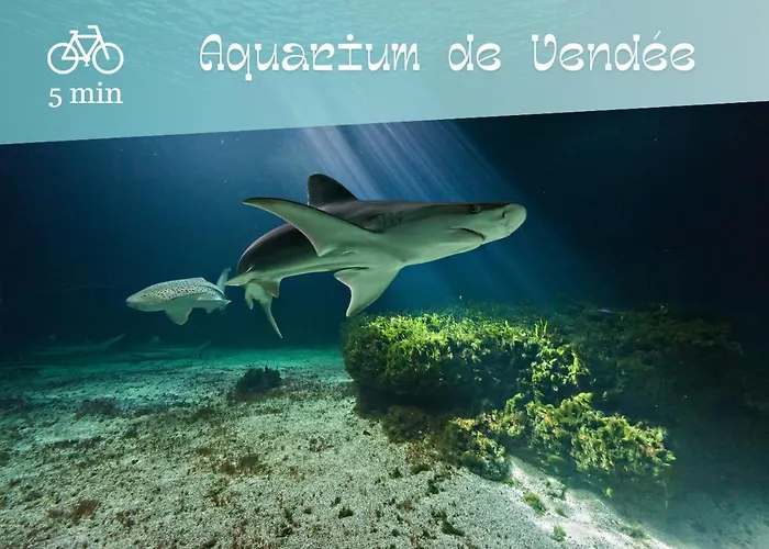 דירה Au Calme, Au Coeur Du Golf - Piscine *